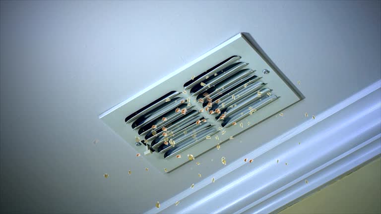 Best Home Air Vent Cleaning  in Staunton, IL