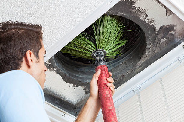 Best Professional Duct Cleaning Services  in Staunton, IL