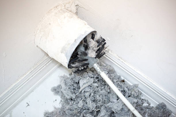 Best Affordable Duct Cleaning Services  in Staunton, IL