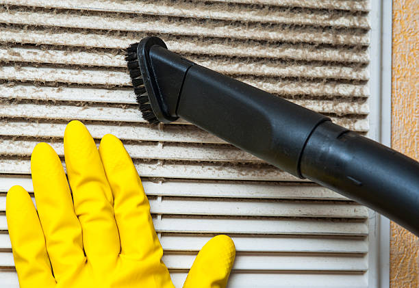 Best HVAC Maintenance and Cleaning  in Staunton, IL